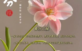 春分有送花的讲究吗为什么（春分要买花吗）