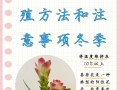 姜荷花怎么过冬（姜荷花过冬放哪里合适）