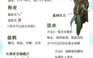 兰花开花后怎么处理（兰花开花后怎么处理好）