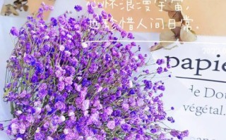 1100朵鲜花有什么寓意（1001朵花什么意思）