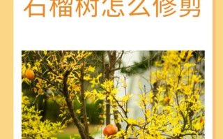 “石榴”树枝剪1刀（石榴树剪的枝子载上就能活吗）