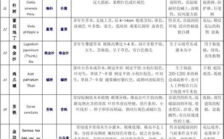 班级鲜花花语（班级花语四字标语）