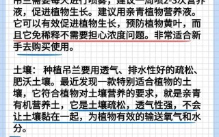 吊兰怎么养长得好（吊兰怎么养更旺盛）
