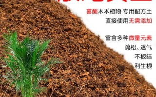 散尾葵用什么土（栽散尾葵用什么土）