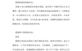 腊梅种子种植方法（腊梅种子种植方法和注意事项）