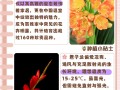 君子兰春天这么养（君子兰春季怎么养）