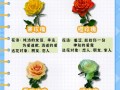 9支鲜花寓意（花语9朵）