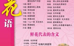 5朵红玫瑰鲜花花语及寓意（5朵红玫瑰鲜花花语及寓意图片）