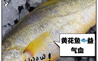 给花喝点这个水（给花喝点这个水英语）