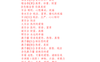 12束鲜花的寓意及花语（鲜花12朵）