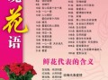 999鲜花寓意（送花999朵代表什么意思）