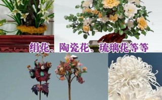你家的花死透了（你家的花死透了图片）