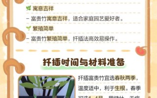 富贵竹怎么扦插（富贵竹怎么扦插用怎么才生给根快步生病）