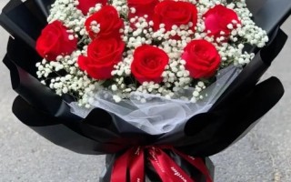 11朵大红色鲜花寓意（11朵红色的玫瑰花代表什么）