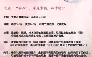 矮牵牛秋天怎么养（矮牵牛秋天怎么养护和浇水）