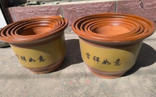买的花盆又贵又难看（买的花盆不透气怎么办）