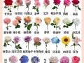 山东送花的讲究（山东节礼怎么送）