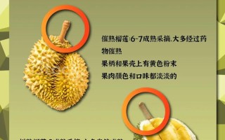 榴莲怎么催熟（生包榴莲怎么催熟）