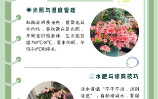 杜鹃花的养殖方法和注意事项（长寿花的养殖方法和注意事项）