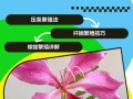 紫金花怎么繁殖（紫金花怎样种植）
