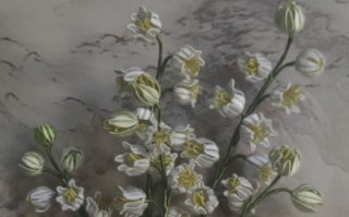 铃兰开花后怎么办（铃兰开花后怎么办呢）