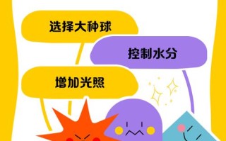 水仙花不开花怎么办（水仙为啥只长叶子不开花）