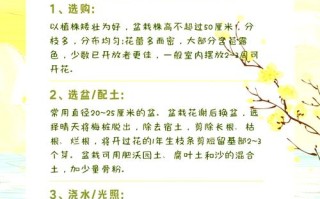 梅花的冬天养殖禁忌（梅花的冬季养殖方法）