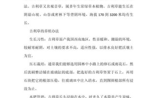 吉祥草的繁殖方法（吉祥草的繁殖方法有哪些）