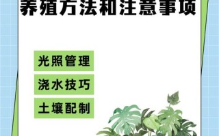 棕竹怎么浇水（棕竹浇水周期）