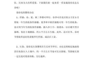 迎春花怎么繁殖（春天能开什么花）