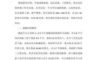胡椒树的种植方法（胡椒树苗适合什么时候种）