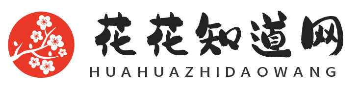 花花知道网