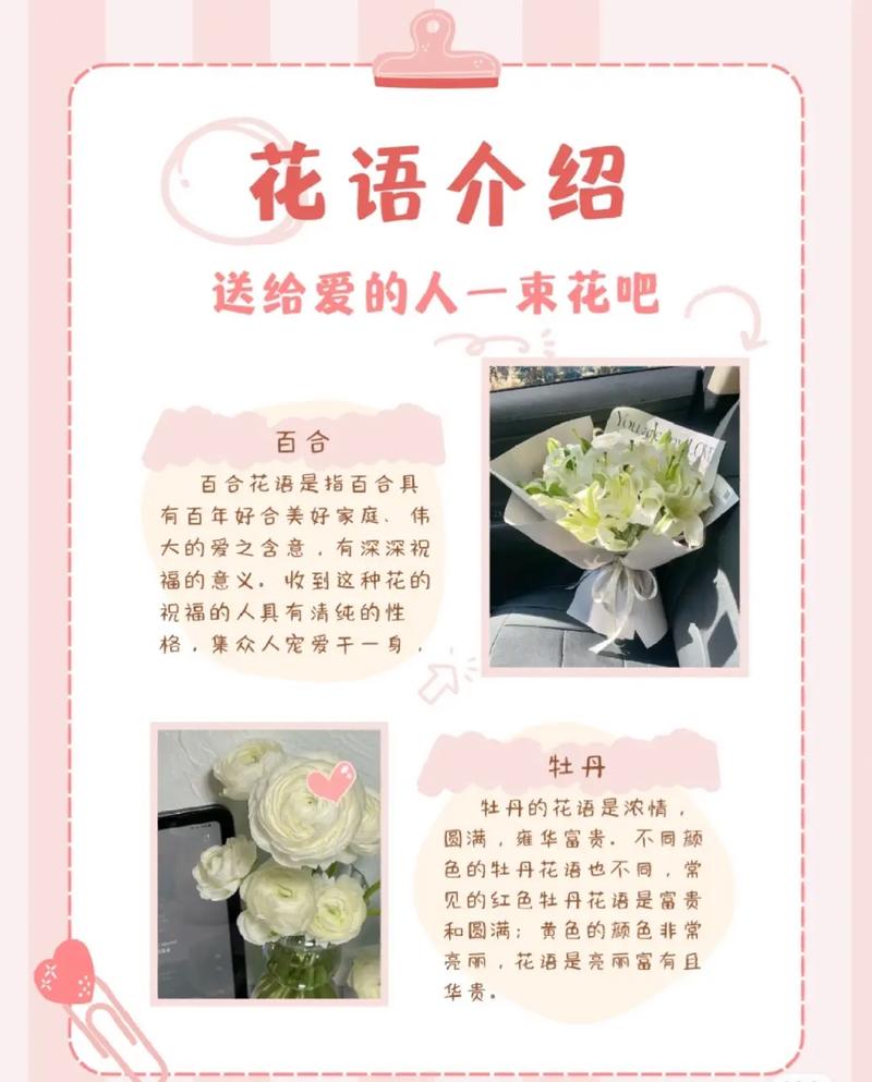 不同场合送花的讲究(不同场合送花的讲究一样吗)-第1张图片-花花知道网 不同场合送花的讲究(不同场合送花的讲究一样吗)-第1张图片-花花知道网