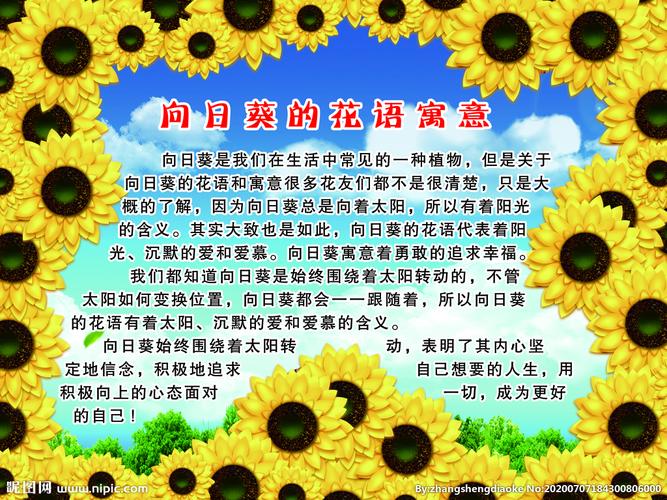 笑脸鲜花花语(笑脸花朵怎么画)-第6张图片-花花知道网 笑脸鲜花花语(笑脸花朵怎么画)-第6张图片-花花知道网