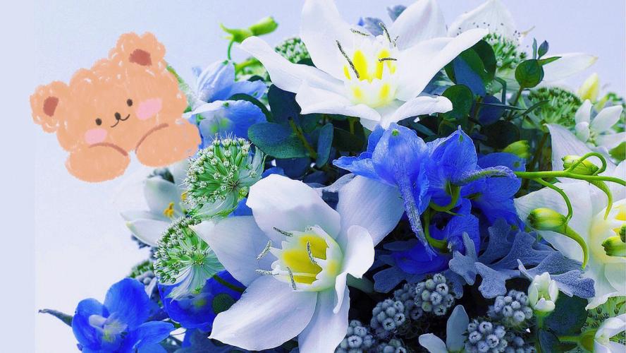 商务送花的讲究(商业送花)-第5张图片-花花知道网 商务送花的讲究(商业送花)-第5张图片-花花知道网