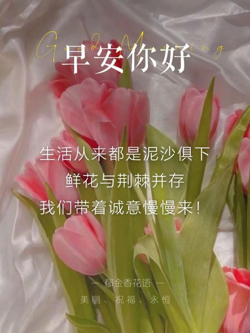 鲜花盛开的美好寓意(鲜花盛开的背后的简短句子)-第1张图片-花花知道网 鲜花盛开的美好寓意(鲜花盛开的背后的简短句子)-第1张图片-花花知道网