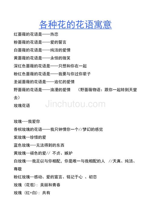 11朵鲜花寓意着什么含义(11朵花语是什么意思)-第1张图片-花花知道网 11朵鲜花寓意着什么含义(11朵花语是什么意思)-第1张图片-花花知道网