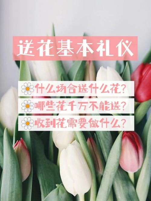 过年送花的讲究(过年送礼送花好吗)-第4张图片-花花知道网 过年送花的讲究(过年送礼送花好吗)-第4张图片-花花知道网