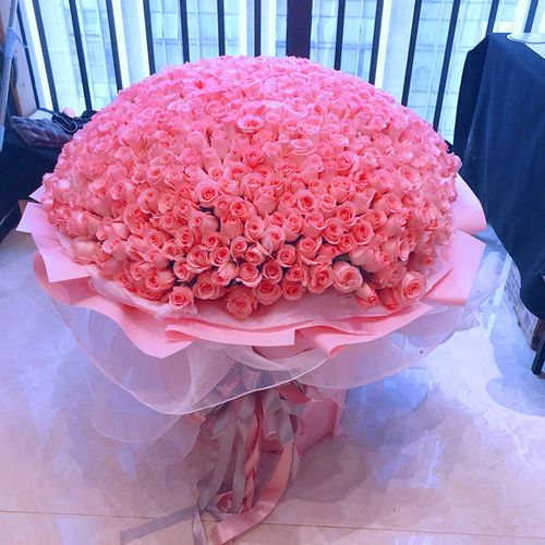 求婚送花的讲究(求婚送花给女朋友写点什么好呢)-第1张图片-花花知道网 求婚送花的讲究(求婚送花给女朋友写点什么好呢)-第1张图片-花花知道网
