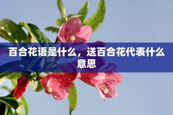 12束鲜花的寓意(花束12朵什么意思)-第6张图片-花花知道网 12束鲜花的寓意(花束12朵什么意思)-第6张图片-花花知道网