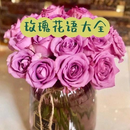 送老公鲜花花语(送老公的鲜花)-第3张图片-花花知道网 送老公鲜花花语(送老公的鲜花)-第3张图片-花花知道网