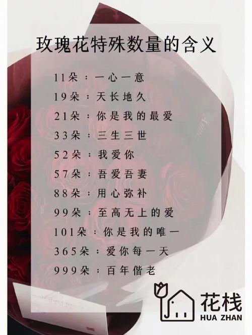 9枝鲜花寓意(送花9朵什么意思)-第3张图片-花花知道网 9枝鲜花寓意(送花9朵什么意思)-第3张图片-花花知道网