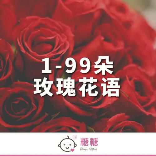 9枝鲜花寓意(送花9朵什么意思)-第4张图片-花花知道网 9枝鲜花寓意(送花9朵什么意思)-第4张图片-花花知道网