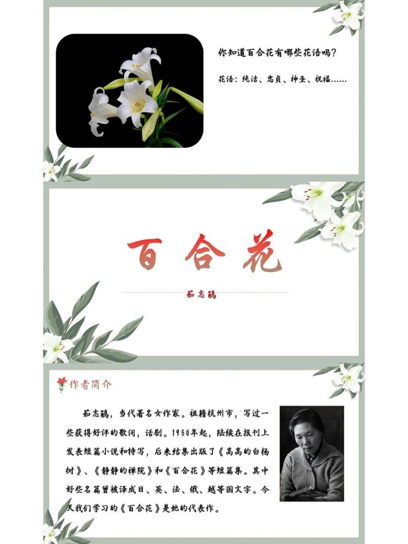 百合鲜花花语(百合花花语代表什么花语)-第5张图片-花花知道网 百合鲜花花语(百合花花语代表什么花语)-第5张图片-花花知道网