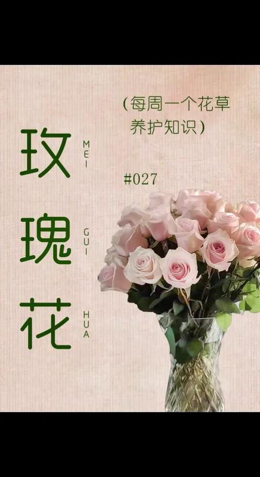 圣诞送花的讲究(圣诞送花的讲究和寓意)-第1张图片-花花知道网 圣诞送花的讲究(圣诞送花的讲究和寓意)-第1张图片-花花知道网