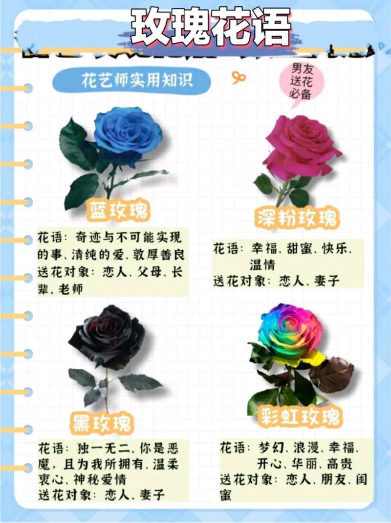送花品种的讲究(送花种类的含义)-第4张图片-花花知道网 送花品种的讲究(送花种类的含义)-第4张图片-花花知道网