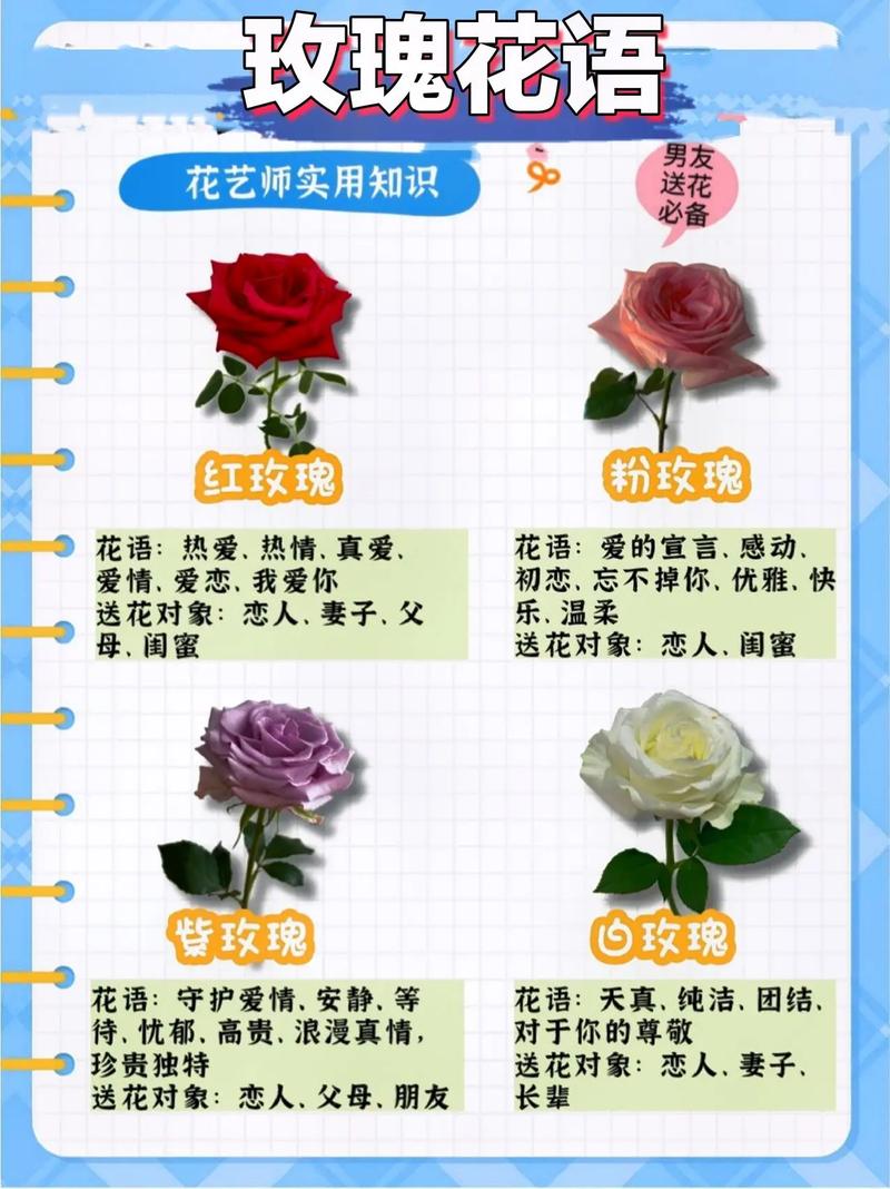 送花儿的讲究(送花儿的讲究是什么)-第4张图片-花花知道网 送花儿的讲究(送花儿的讲究是什么)-第4张图片-花花知道网