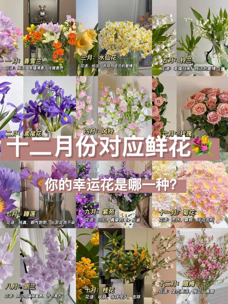 送花儿的讲究(送花儿的讲究是什么)-第6张图片-花花知道网 送花儿的讲究(送花儿的讲究是什么)-第6张图片-花花知道网