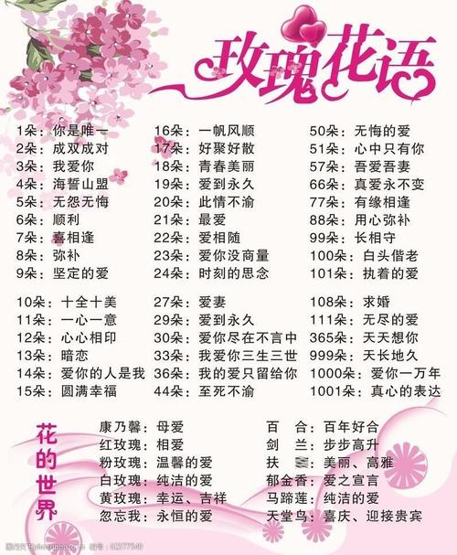 玫瑰鲜花花语(玫瑰花语大全 各种花的花语)-第1张图片-花花知道网 玫瑰鲜花花语(玫瑰花语大全 各种花的花语)-第1张图片-花花知道网