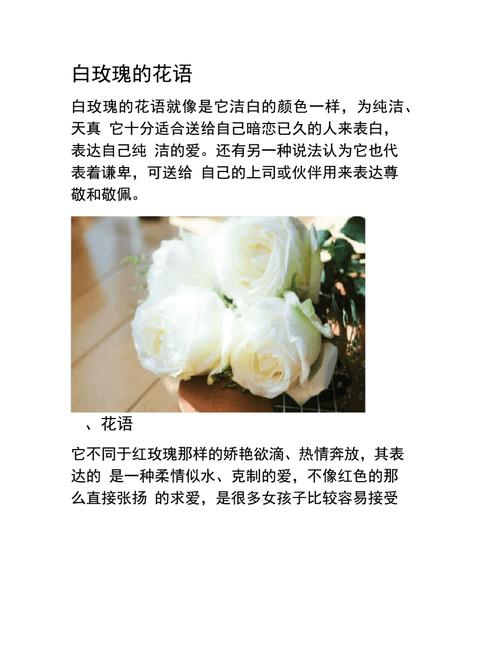 66朵白玫瑰鲜花寓意(6朵白玫瑰的花语是什么意思)-第2张图片-花花知道网 66朵白玫瑰鲜花寓意(6朵白玫瑰的花语是什么意思)-第2张图片-花花知道网